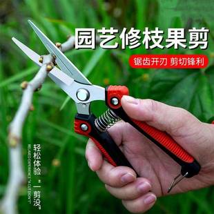 Stainless steel flower thinning fruit scissors fruit