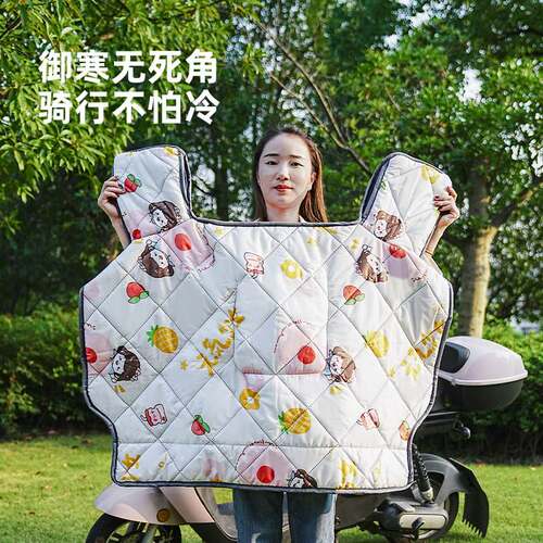 New Electric Car Windshield fleece-lined Winter Thickened