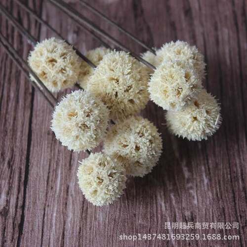 [Dried flower] Hand-combined adhesive dried flower road pass