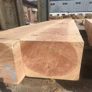 Wholesale of Various Pine Wood Planks, Springboards, Larch