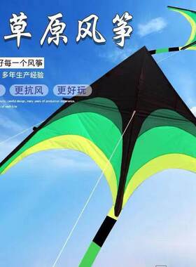 Medium and large triangular kites easy to fly children's