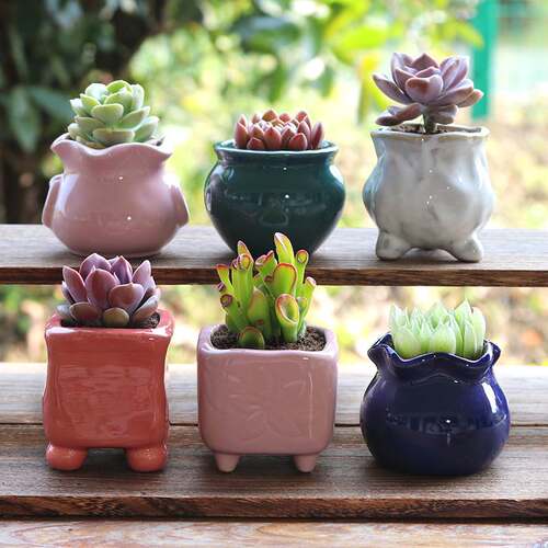 Fleshy Flower Pot Ceramic Thumb Mini Plant Flower