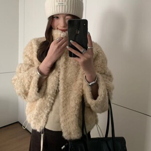 韩系立领仿羊羔毛皮毛一体外套女冬季短款小个子加厚圈圈毛毛上衣