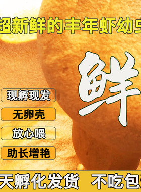 丰年虾幼虫小型观赏鱼饲料开口粮