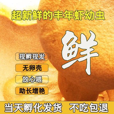 丰年虾幼虫小型观赏鱼饲料开口粮