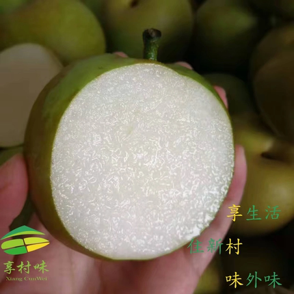 建宁翠冠梨5斤装顺丰包邮