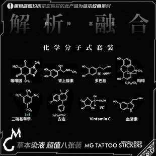 8张草本纹身贴潮 图案持久简约个性 tattoo草本染液化学分子式