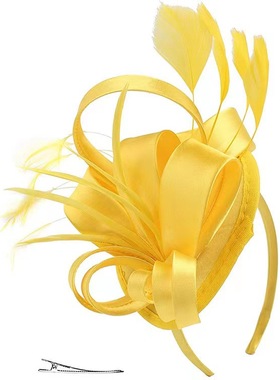 Celebrity Feather Fascinator Hat，Halloween Christmas Kentuc