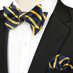 Set Tie Paisley Accessory Plaid Hanky Men for Bow Striped