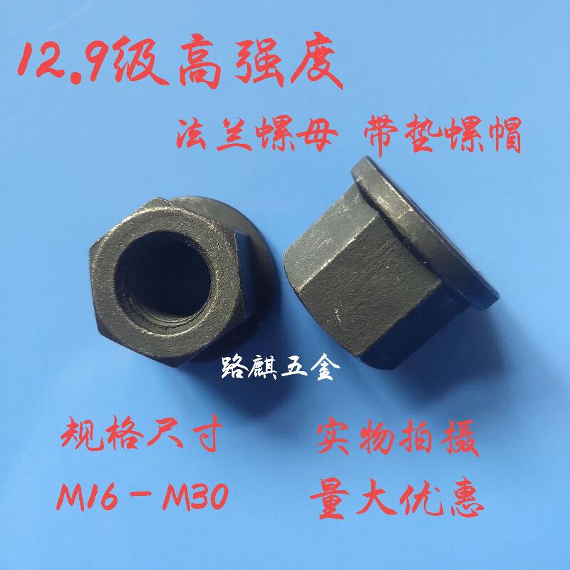 12级高强度带肩带垫螺帽法兰母