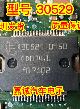 30529 大众迈腾/宝马 5V电源驱动模块芯片 专营汽车IC 现货