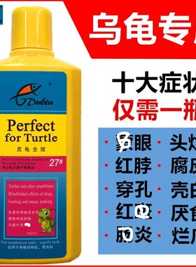 乌龟炎白眼烂甲壳烂肉德比