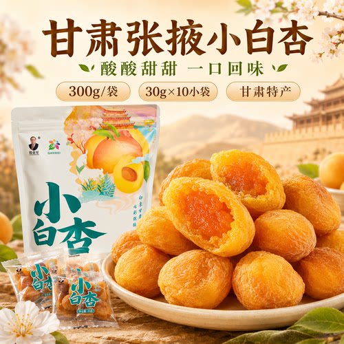 枣老板张掖李广杏果脯300g