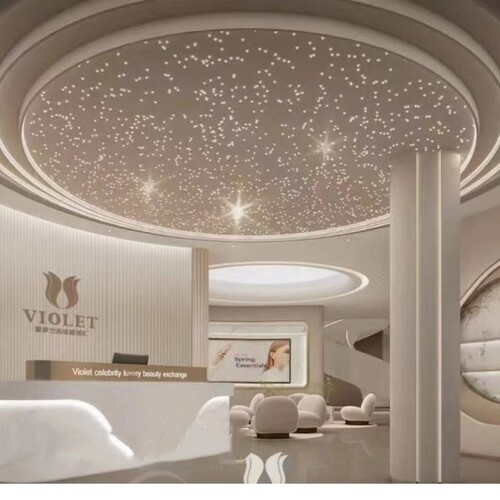 吊顶光纤灯星空灯庄周照明石膏板