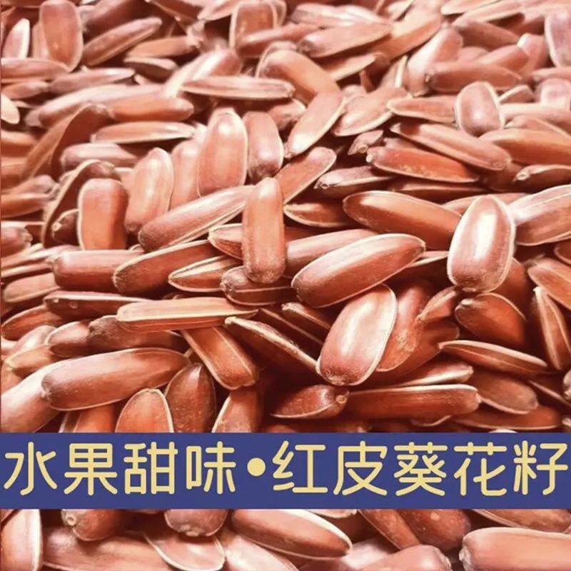 云南红皮瓜子新货水果葵花籽生食甜糯批发原味零食坚果休闲食品干