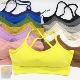 欧洲站tutucolor韩版 纯棉百搭糖果色裹胸美背交叉学生文胸内衣女