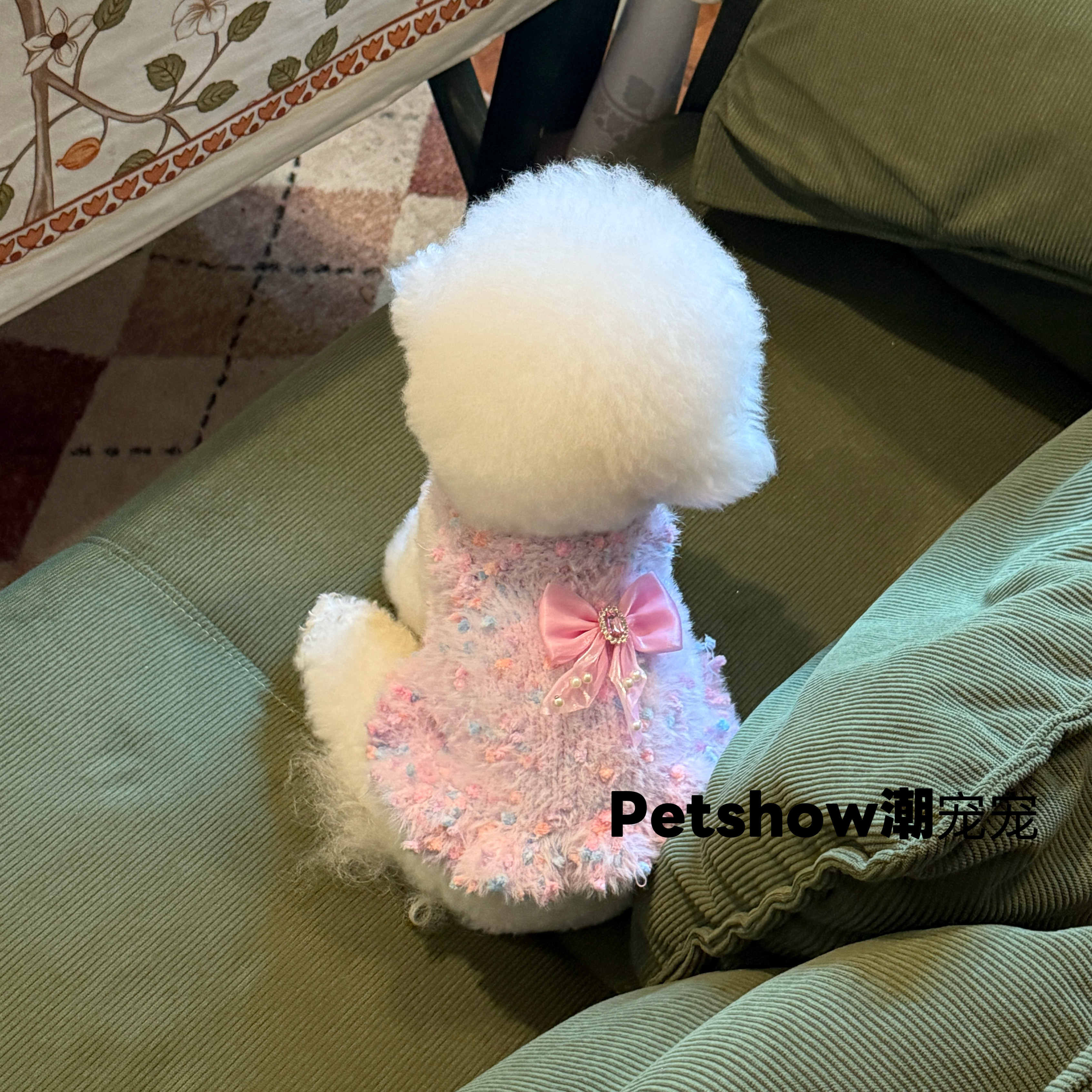 新款宠物狗狗衣服秋冬款泰迪比熊雪纳瑞小型犬衣服保暖狗狗服装