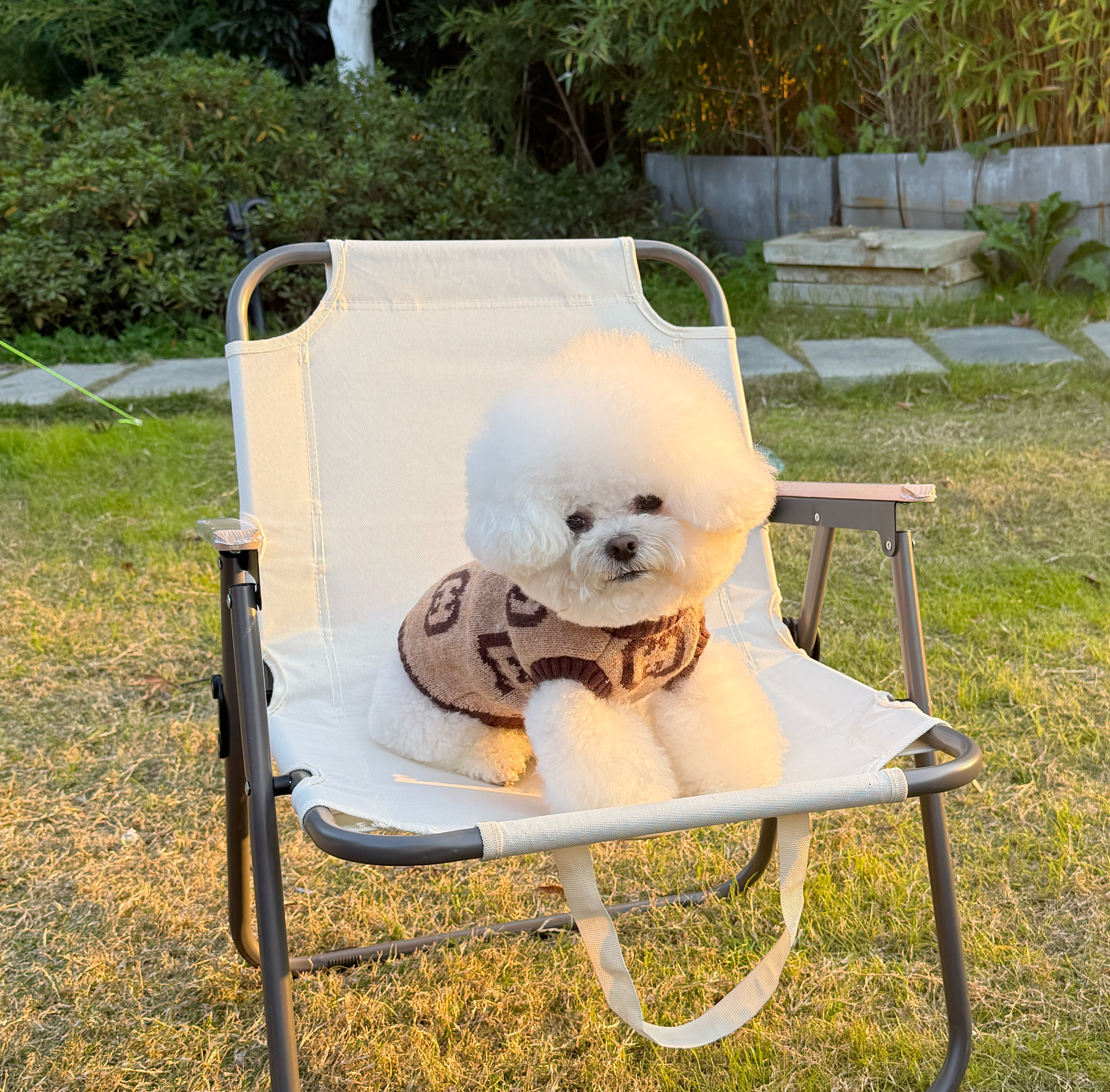新款宠物狗狗衣服秋冬款泰迪比熊雪纳瑞小型犬毛衣保暖狗狗服装