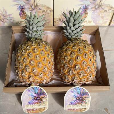 海南芒果凤梨23号树上熟新鲜金钻凤梨整箱包邮顺丰