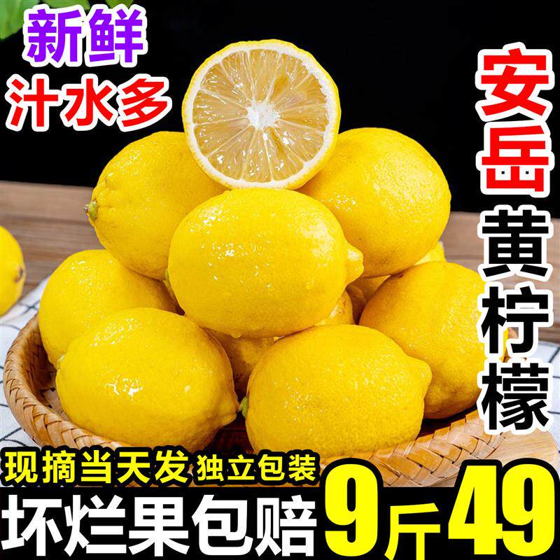 四川安岳黄柠檬鲜果新鲜当季皮薄香水无籽奶茶店专商用一多汁级9B