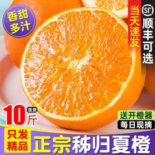 正宗秭归夏橙脐橙新鲜橙子10斤大果榨汁专用当季整箱甜橙湖北水果