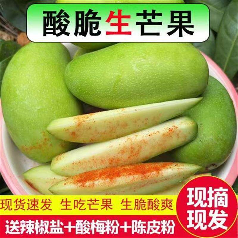 广西特产青芒果生吃酸脆5斤新鲜现摘当季孕妇酸野水果整箱包邮