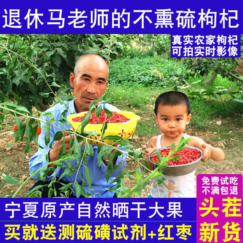 枸杞子农家一品红宁夏原产正宗特级苟杞新货自然500g枸杞泡水中宁