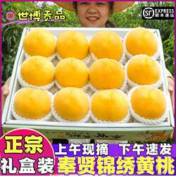 上海奉贤黄桃新鲜水果当季整箱黄金蜜桃时令锦绣桃子应季产地现摘