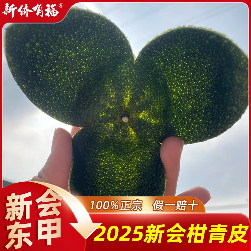 2025年东甲新会柑皮大红皮茶枝柑新皮二红皮新鲜陈皮果皮青柑鲜果
