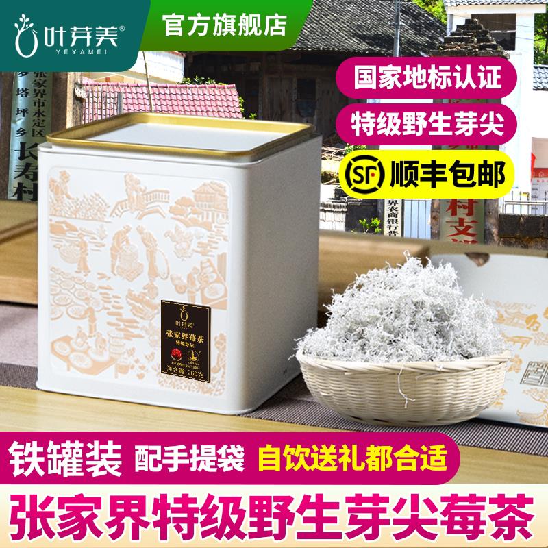 张家界野生特级莓茶2026新茶龙须芽尖节日送礼盒礼品永顺藤茶霉茶