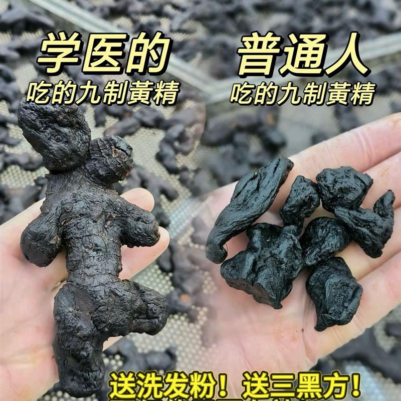 云南野生红花滇黄精 20年老黄精 真九蒸九晒 道观古法工艺
