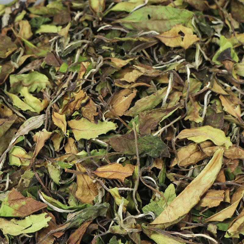 高山白茶福鼎大白茶日晒白露寿眉2025新茶叶散装1000克