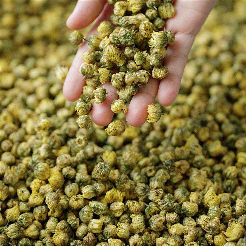 丨初开杭白菊45g丨浙江桐乡胎菊花干燥花丨泡水泡茶 花蜜香