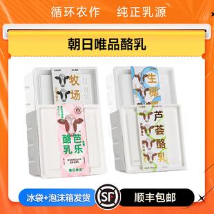酸奶酪乳12杯牧场生椰赏樱芭乐芦荟白桃100g风味发酵乳
