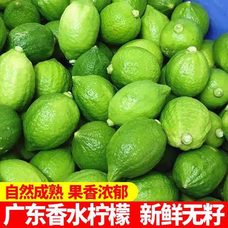 广东香水柠檬新鲜正宗青柠檬无籽大果一级果应当季水果奶茶店专用