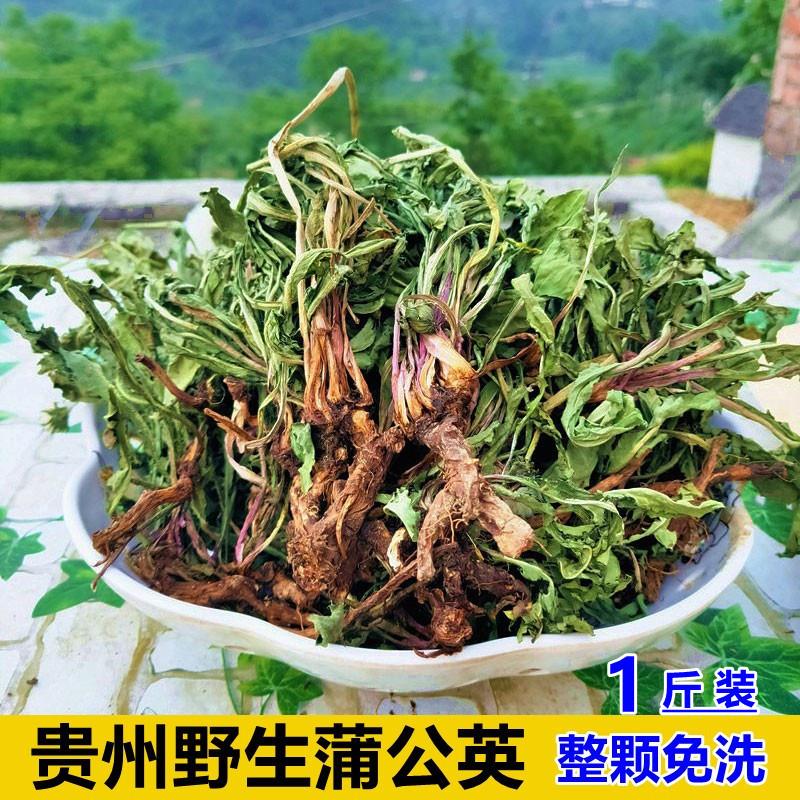 蒲公英茶新鲜纯野生婆婆丁天然正品特级蒲公英根干草浦公英中药材