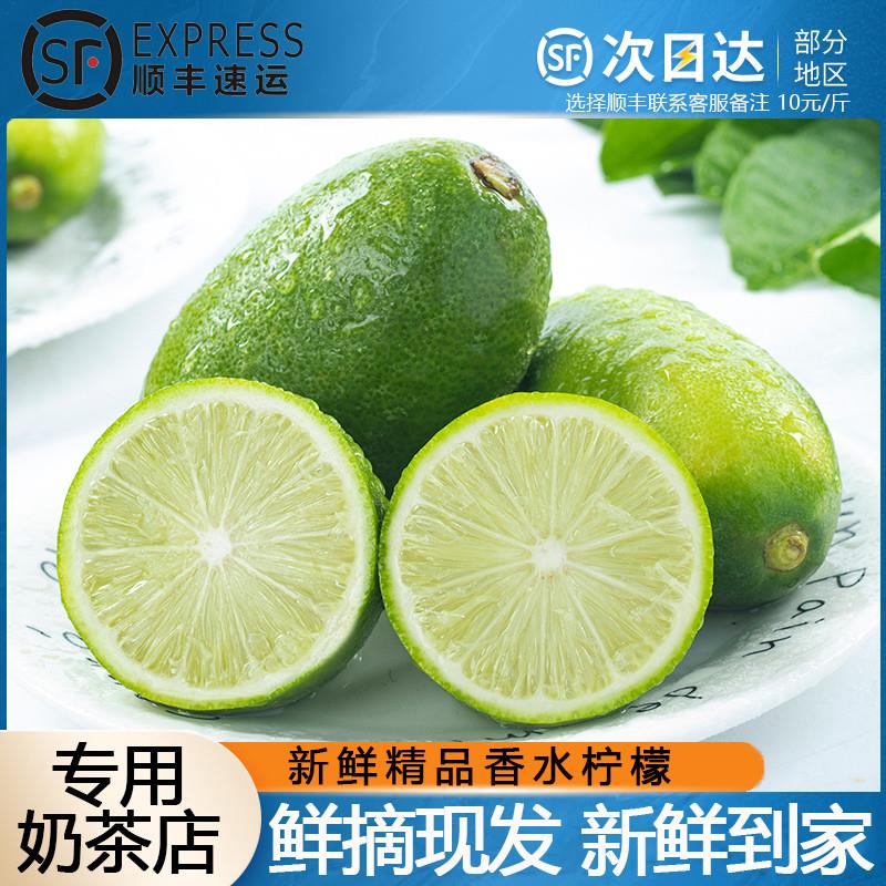 海南1级香水柠檬新鲜子弹头9斤奶茶店专用薄皮商用小青柠
