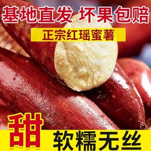 天津红瑶蜜薯宁河岳龙镇红瑶红薯黄金蜜薯榴莲地瓜沙地黄心烤红薯