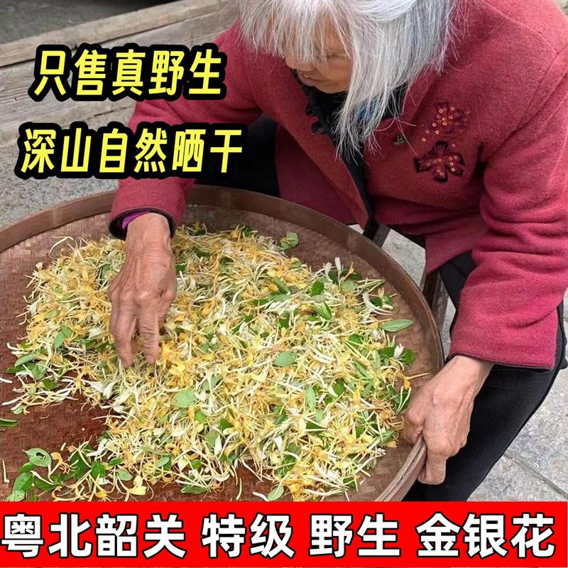广东韶关深山野生金银花特级胎菊干燥花洗澡婴儿清热中药材正品旗
