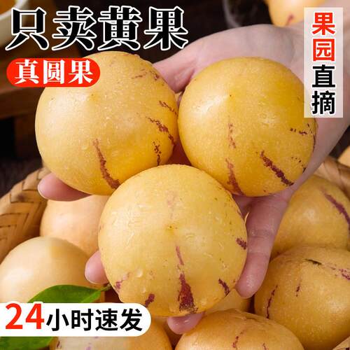 云南石林人参果新鲜当季大果七彩黄肉圆果整箱人生果香甜多汁