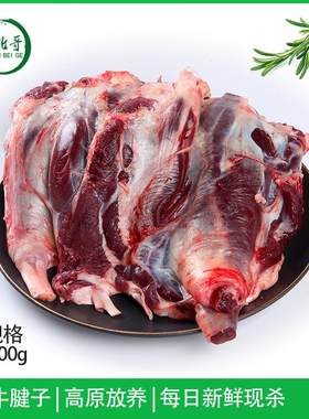 正宗牦牛腱子4斤 整根腱子肉现高原新鲜草饲牛肉生牛肉牛展