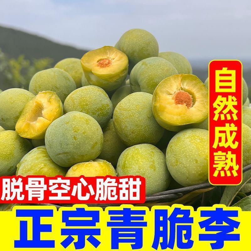 重庆万州脱骨李分水青脆李蜂糖李当季新鲜时令孕妇水果青李老品种