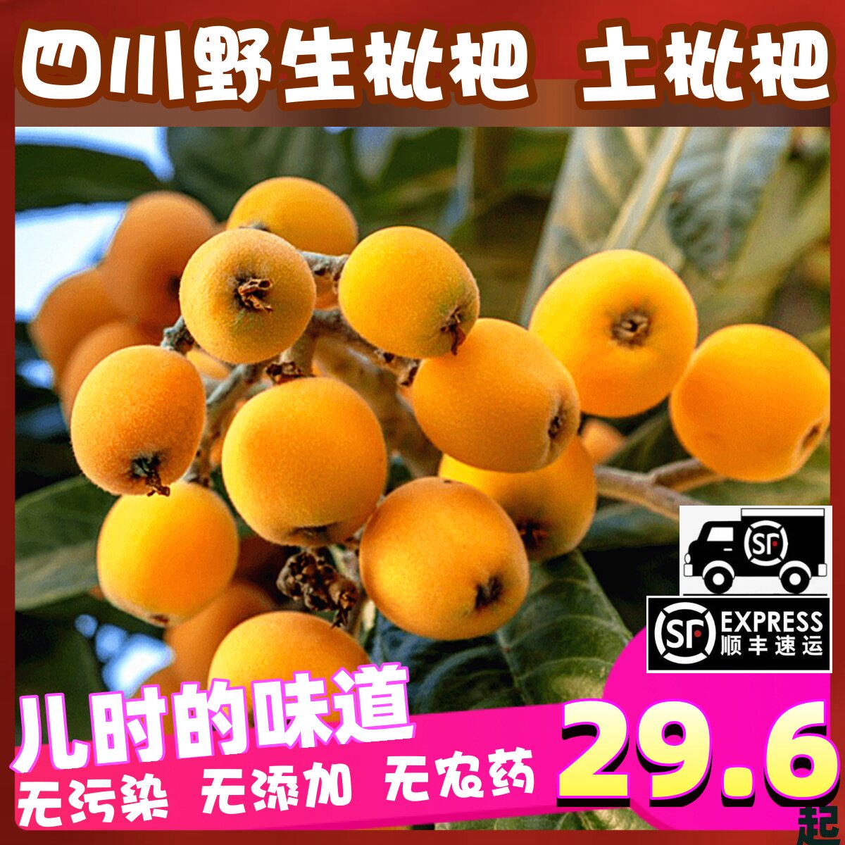 顺丰野生土枇杷四川土琵琶新鲜孕妇水果纯天然无污染当季非米易