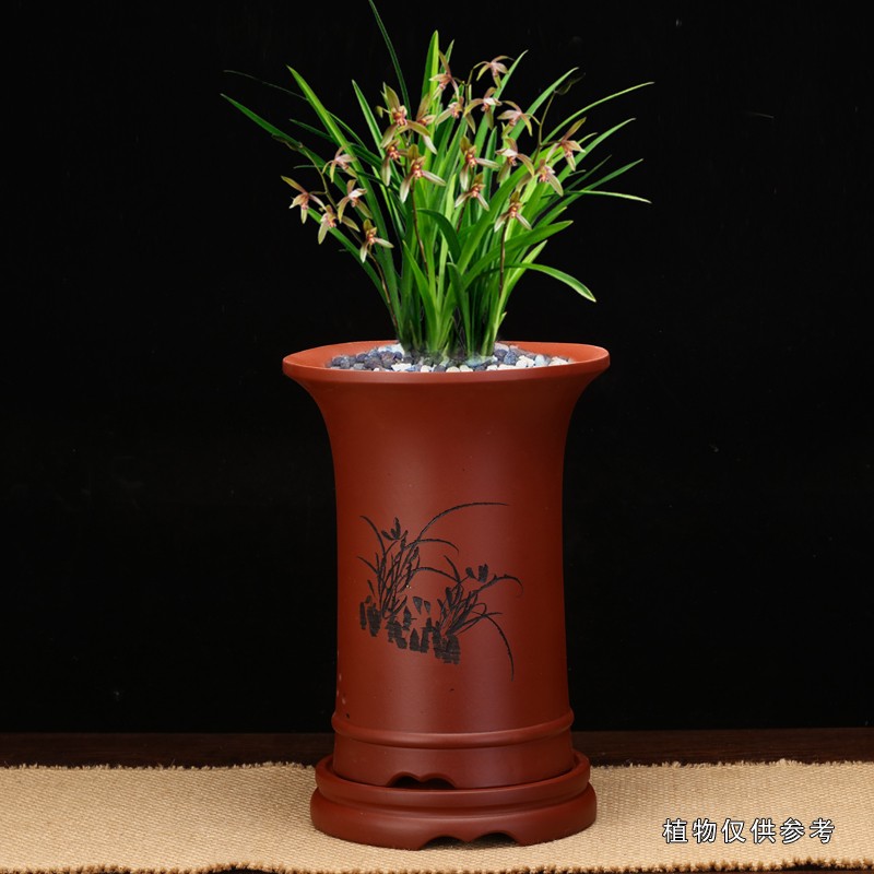 紫砂花盆兰花盆简约精美刻绘紫砂