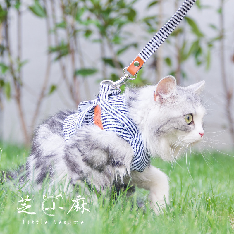 芝小麻猫咪牵引绳牵引背带可调节背心式防挣脱猫链子遛猫衣遛猫绳,宠物/宠物食品及用品,猫牵引绳,淘宝优惠券,粉丝福利购,淘宝优惠卷