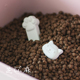 芝小麻食品级硅藻土干燥剂猫粮狗粮干燥棒储粮桶除湿剂家用防潮剂
