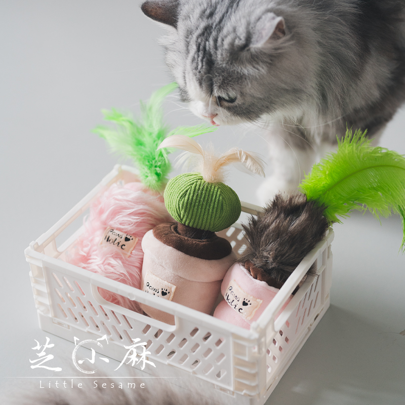 猫咪藏食玩具嗅闻益智猫玩具