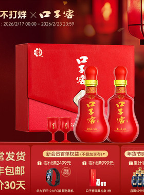 【年货礼盒】口子窖20年型50度500mL*2瓶 二十年型白酒送礼送长辈