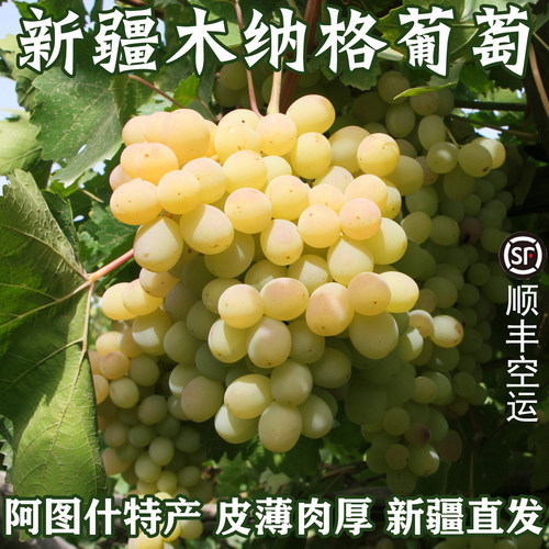 新疆木纳格葡萄脆爽多汁香甜