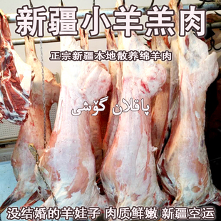 新疆盐碱地羊羔肉南疆散养羊肉鲜嫩无膻现杀整羊半羊羊腿羊排新鲜